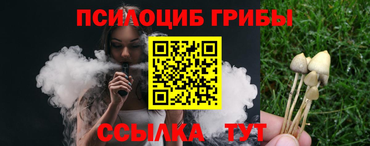Псилоцибиновые грибы GOLDEN TEACHER  как найти закладки  Белореченск  Вход с VPN 